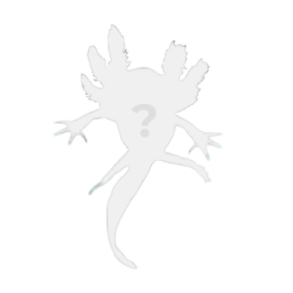 Mystery Axolotl